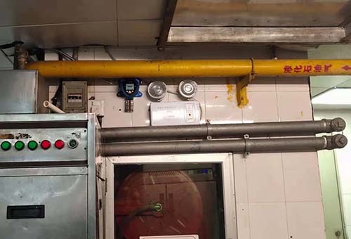 工業級防爆設計天然氣泄漏報警儀