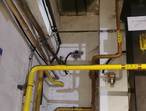 八氟環(huán)丁烷檢測(cè)儀